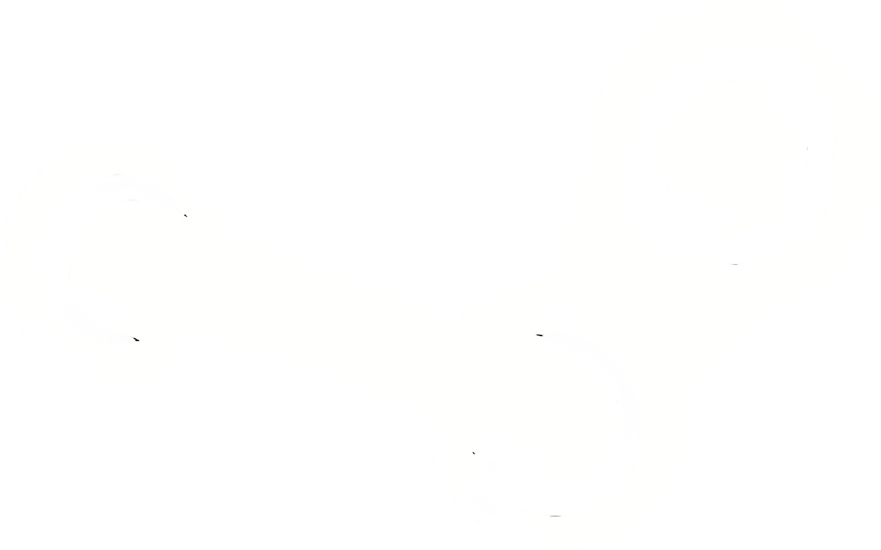 Steam
